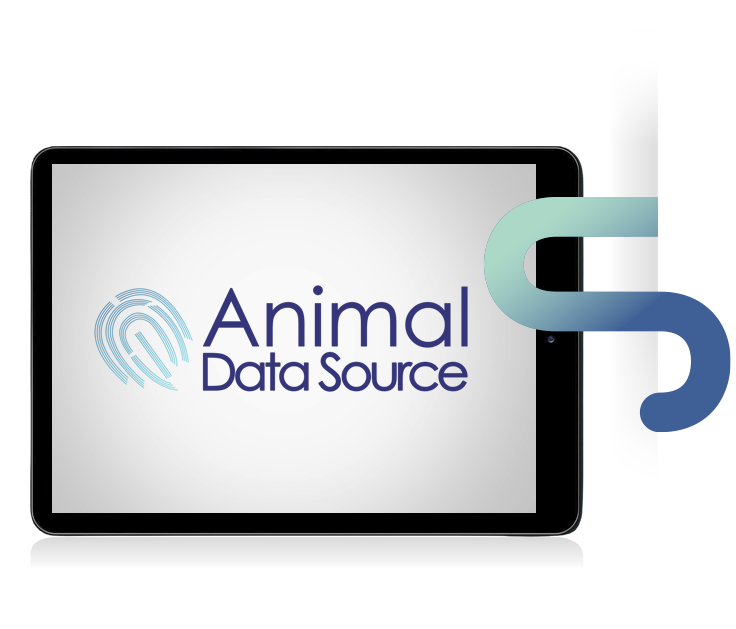 animal-data-2